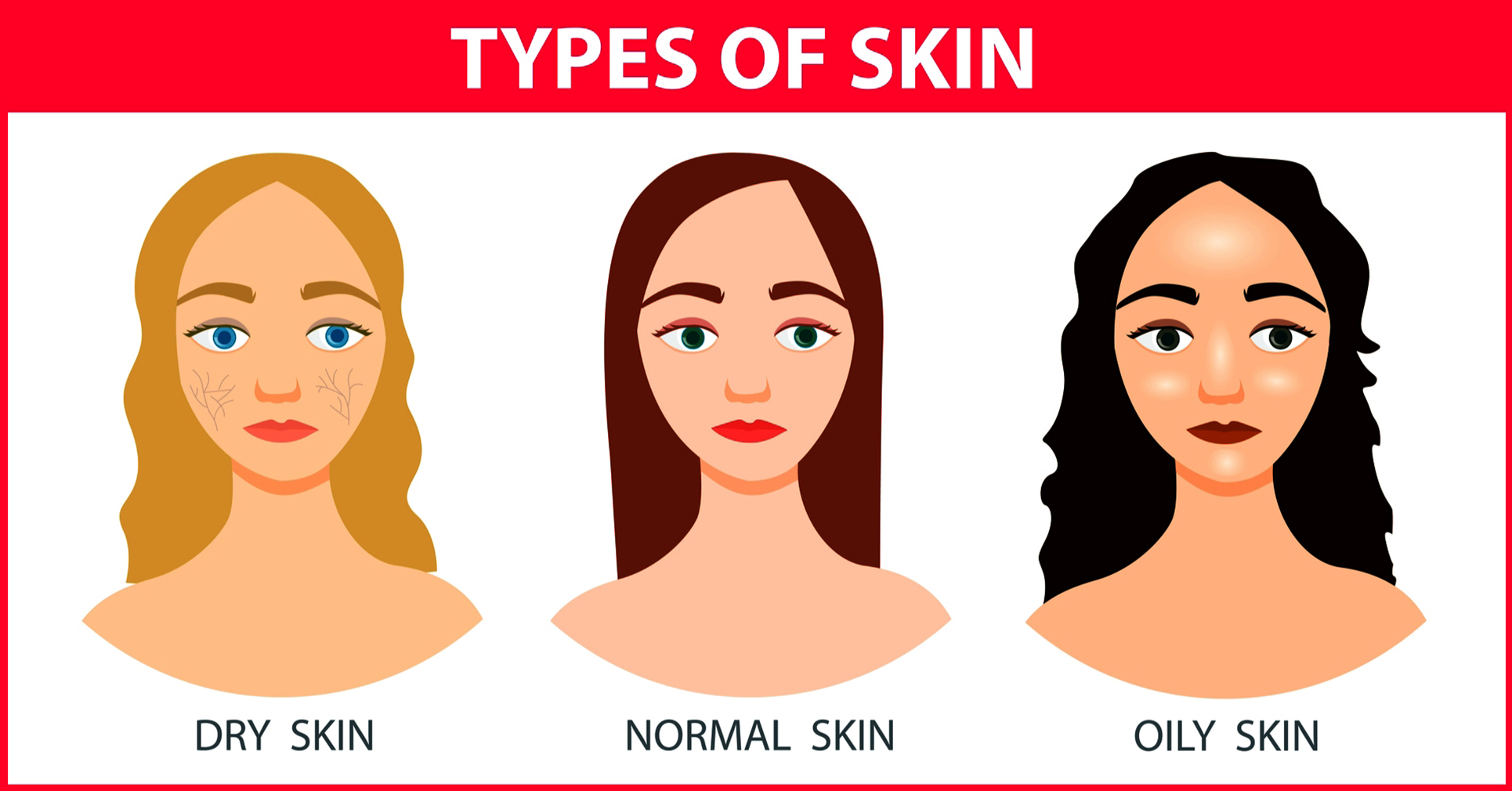 Some type of skin. Девушки с разными типами кожи. Skin Types. Шкала Фицпатрика типы кожи.