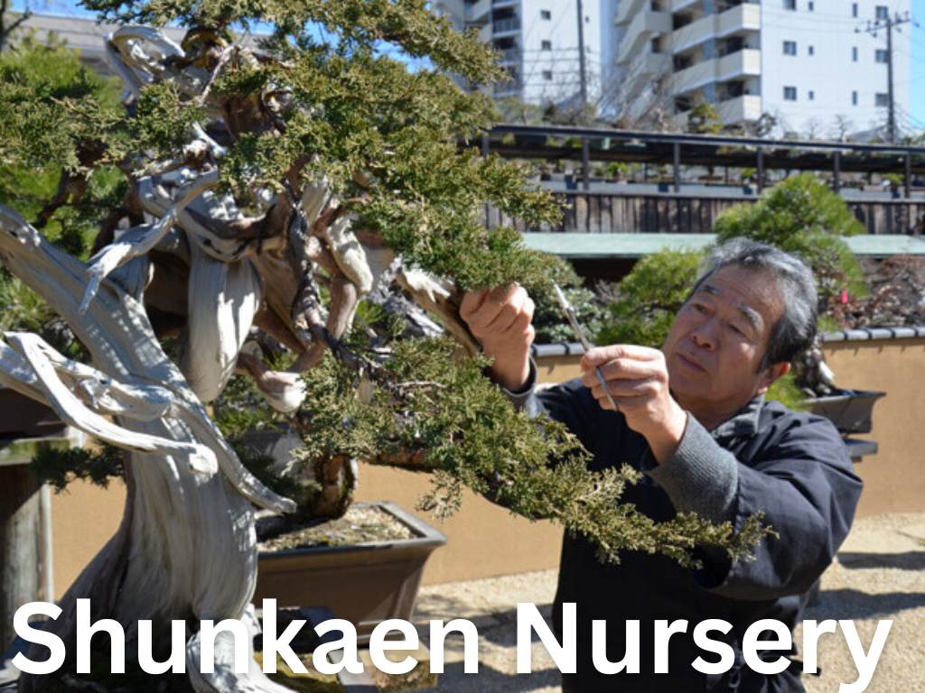 Shunkaen Nursery
