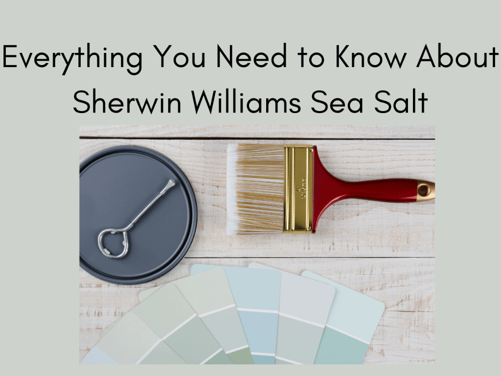 Sea Salt Sherwin Williams