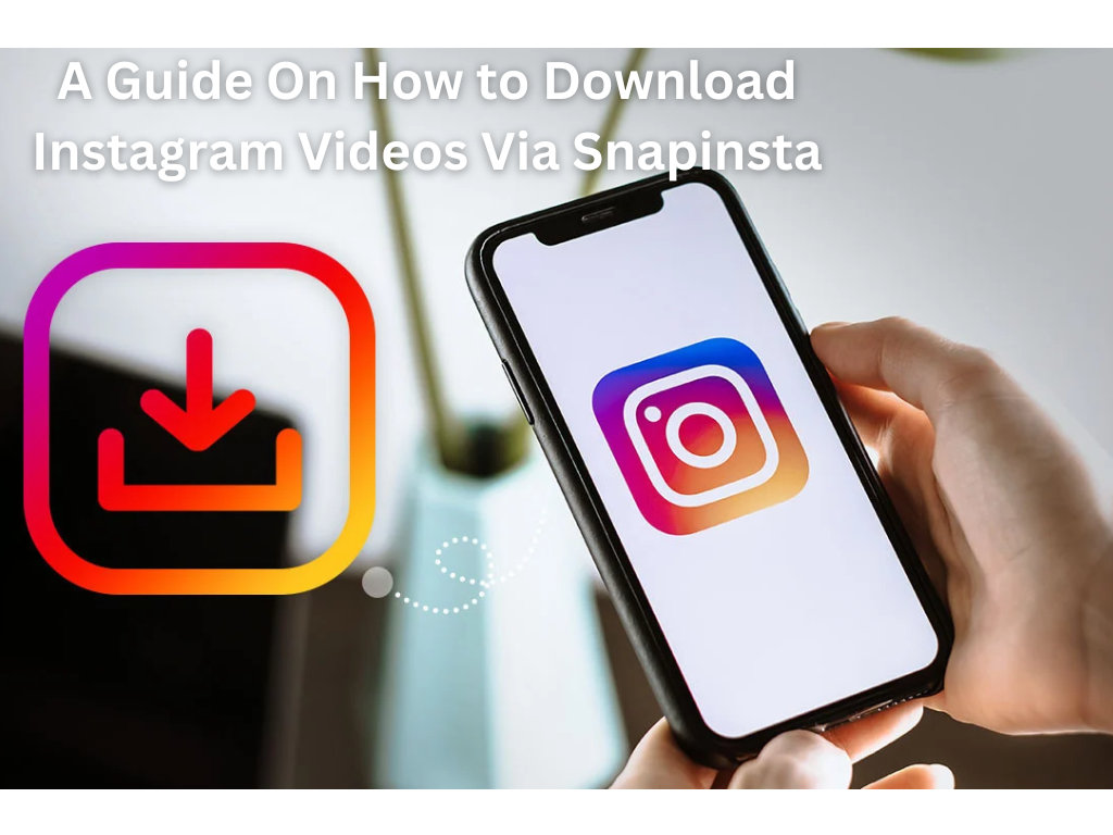A Guide On How to Download Instagram Videos Via Snapinsta