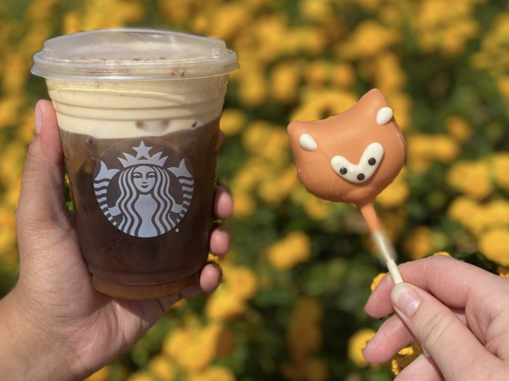 How much does a Cake Pop Cost at Starbucks? A Complete Guide